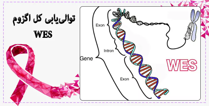 توالی‌یابی کل اگزوم (WES)