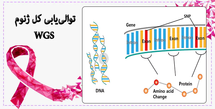 توالی‌یابی کل ژنوم (WGS)
